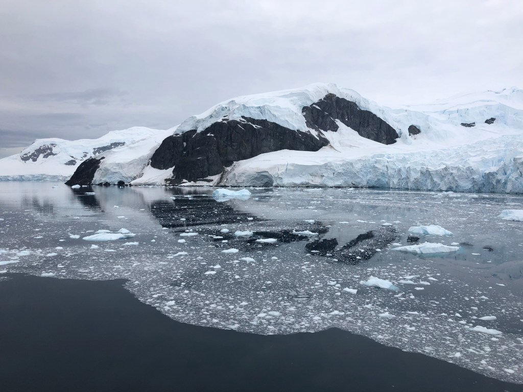 This image has an empty alt attribute; its file name is img_3875.jpeg