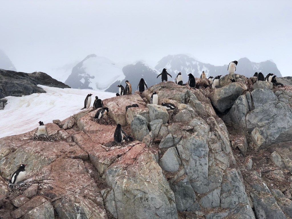 This image has an empty alt attribute; its file name is img_4025.jpeg